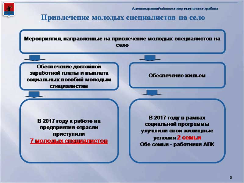 План по привлечению молодых специалистов