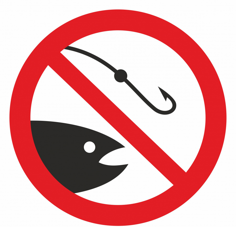 Ограничения рыбной ловли